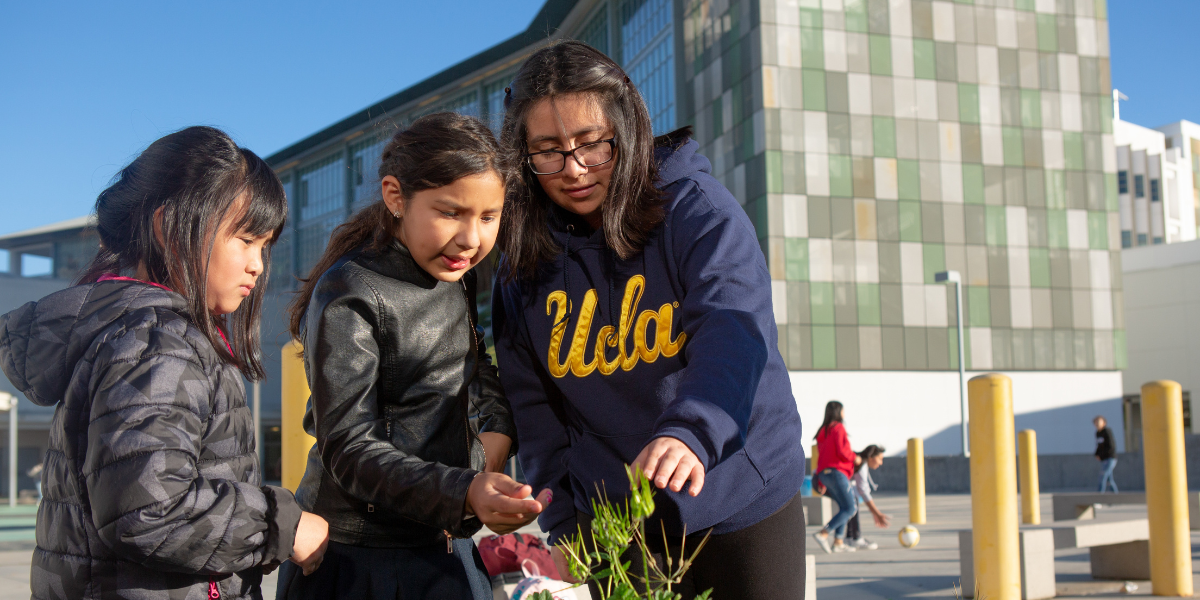 An adult examines a plant outdoors with two children.